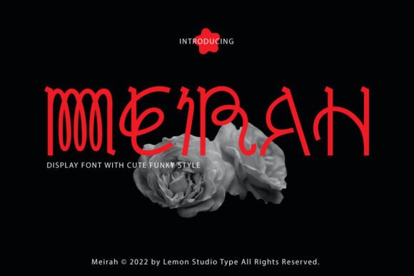 Choosing Meirah: The Vintage Display Font That Changed My Small Business