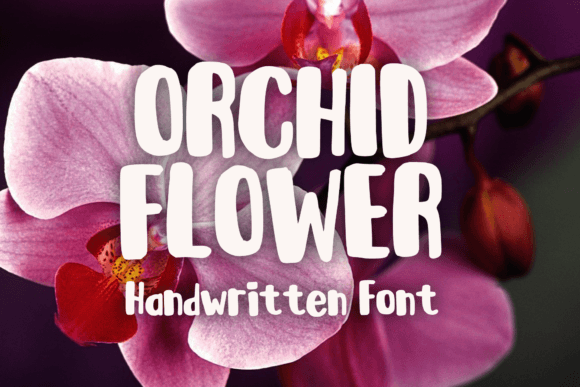 Orchid Flower: A Versatile Handwritten Display Font for Web Design