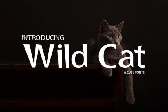 Wild Cat: A Bold Typeface for Eye-Catching Branding